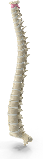 Chiropractic neck pain treatment session at Southern Spine Family Chiropractic focused on restoring mobility and well-being.