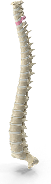 Chiropractic neck pain treatment session at Southern Spine Family Chiropractic focused on restoring mobility and well-being.
