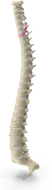 Chiropractic neck pain treatment session at Southern Spine Family Chiropractic focused on restoring mobility and well-being.