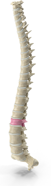 Chiropractic neck pain treatment session at Southern Spine Family Chiropractic focused on restoring mobility and well-being.