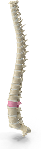 Chiropractic neck pain treatment session at Southern Spine Family Chiropractic focused on restoring mobility and well-being.