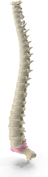 Chiropractic neck pain treatment session at Southern Spine Family Chiropractic focused on restoring mobility and well-being.