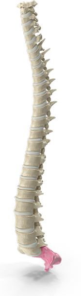 Chiropractic neck pain treatment session at Southern Spine Family Chiropractic focused on restoring mobility and well-being.