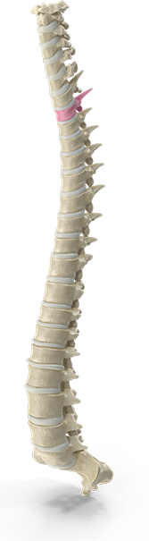 Chiropractic neck pain treatment session at Southern Spine Family Chiropractic focused on restoring mobility and well-being.