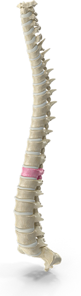 Chiropractic neck pain treatment session at Southern Spine Family Chiropractic focused on restoring mobility and well-being.