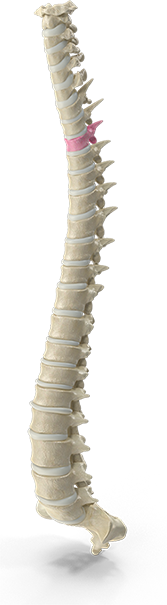 Chiropractic neck pain treatment session at Southern Spine Family Chiropractic focused on restoring mobility and well-being.