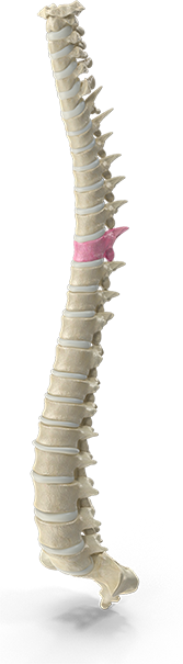 Chiropractic neck pain treatment session at Southern Spine Family Chiropractic focused on restoring mobility and well-being.