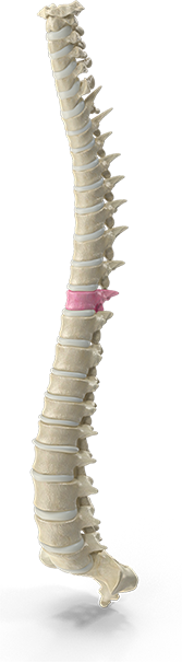 Chiropractic neck pain treatment session at Southern Spine Family Chiropractic focused on restoring mobility and well-being.